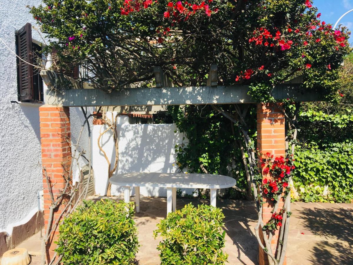 Apartamentos Tres Playas Altamar Alcossebre Eksteriør billede